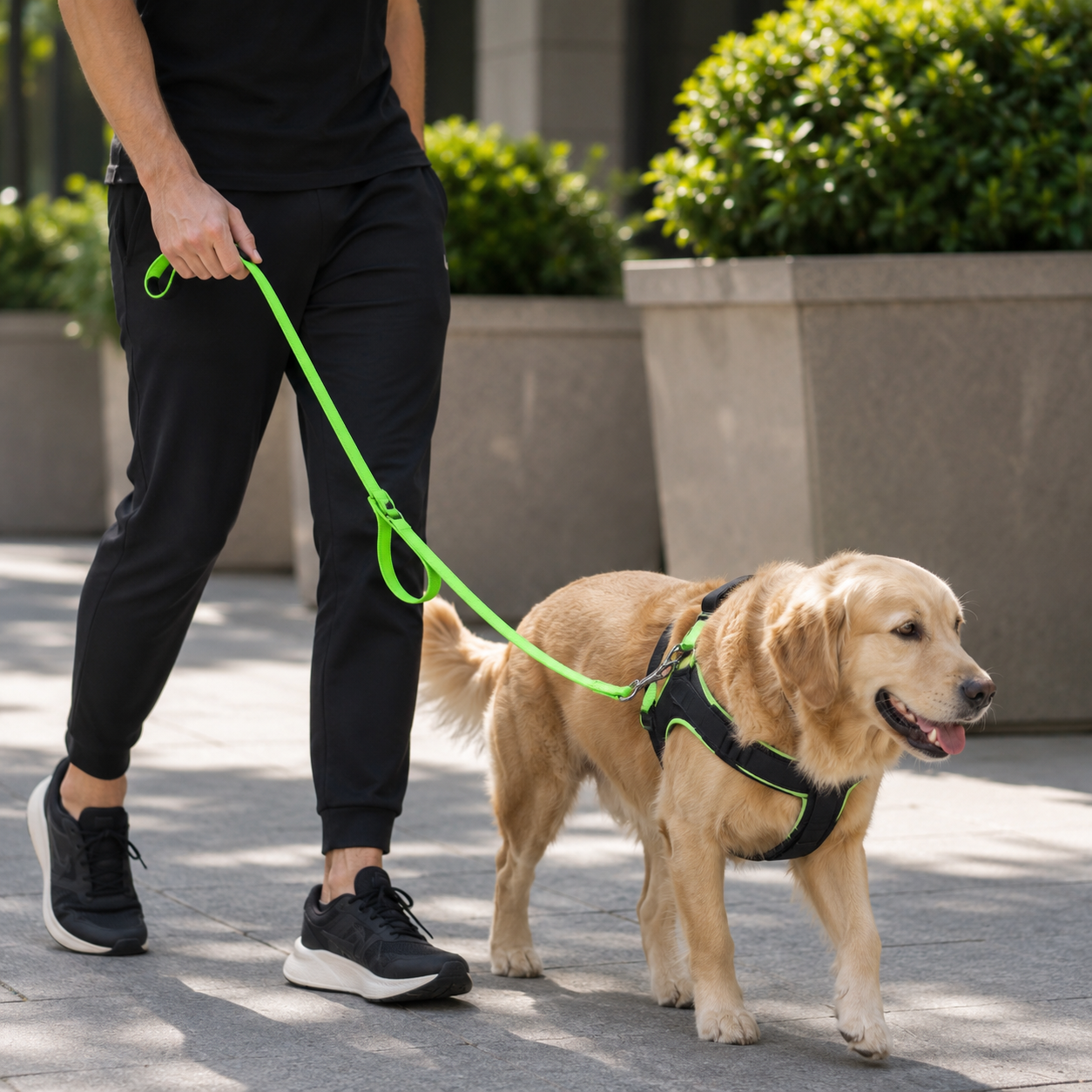 Pet Double Handle Pull Leash