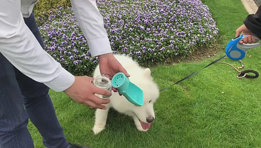 PetDrive 3-in-1 Portable Dog Water Bottle