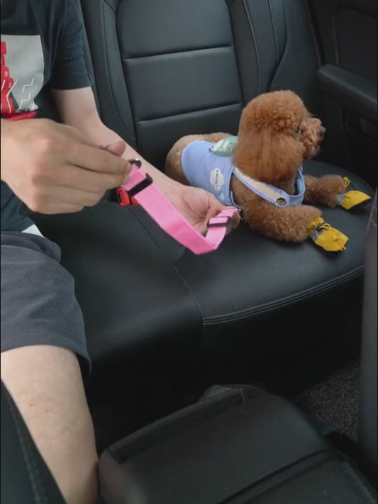 PetDrive Premium 2-Pack Adjustable Dog Car Seat Belts